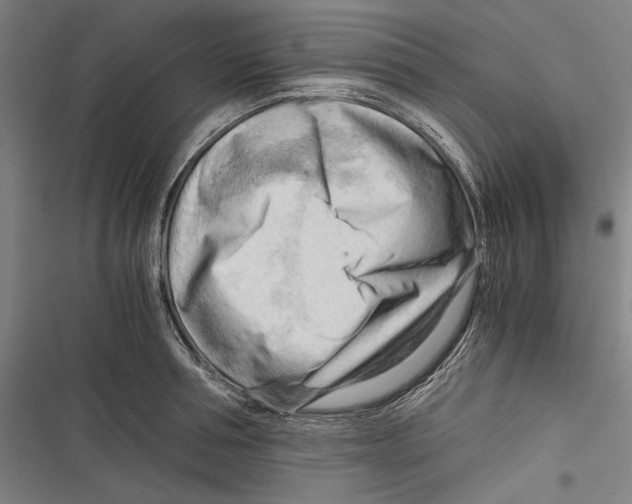 X0000116640994201001111204