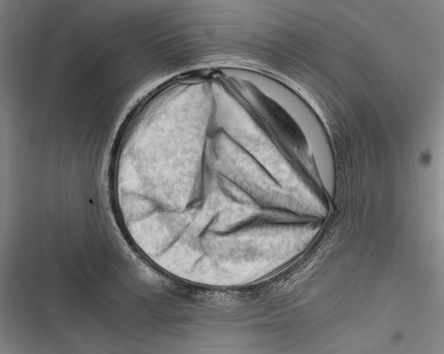 X0000116640995201001111204