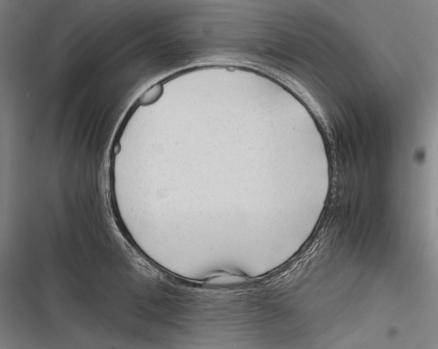 X0000116640996201001111204