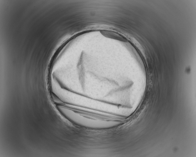 X0000116640997201001111204