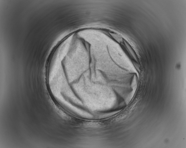 X0000116640998201001111204