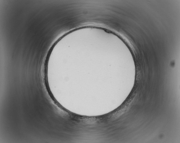 X0000116640999201001111204