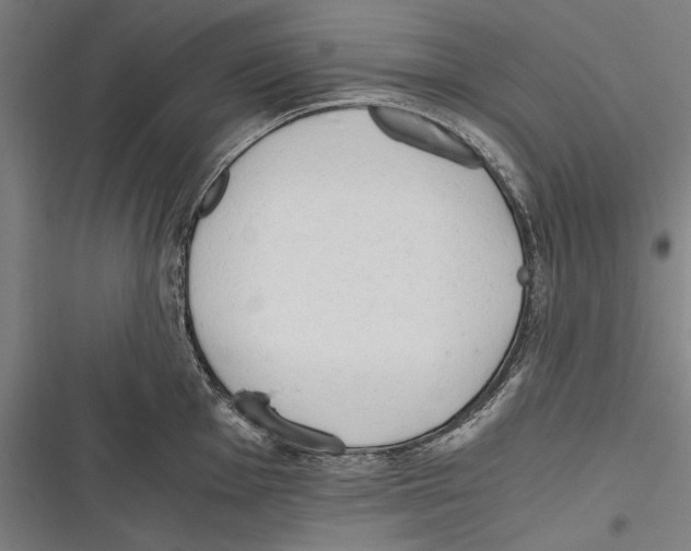 X0000116641001201001111204