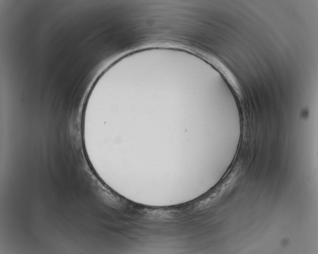 X0000116641004201001111204