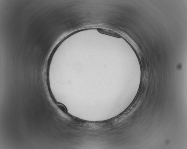 X0000116641005201001111204