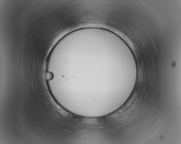 X0000116641006201001111204