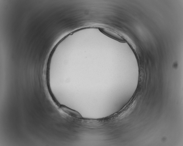 X0000116641007201001111204