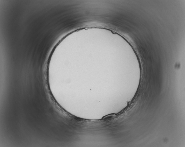 X0000116641008201001111204