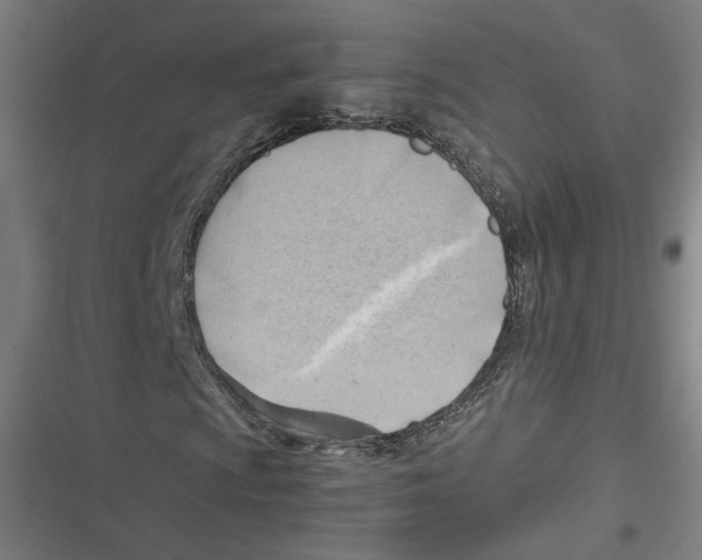 X0000116641009201001111203