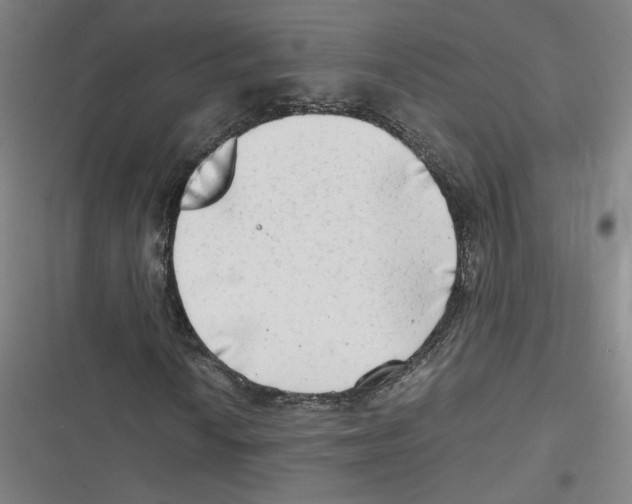 X0000116641010201001111203