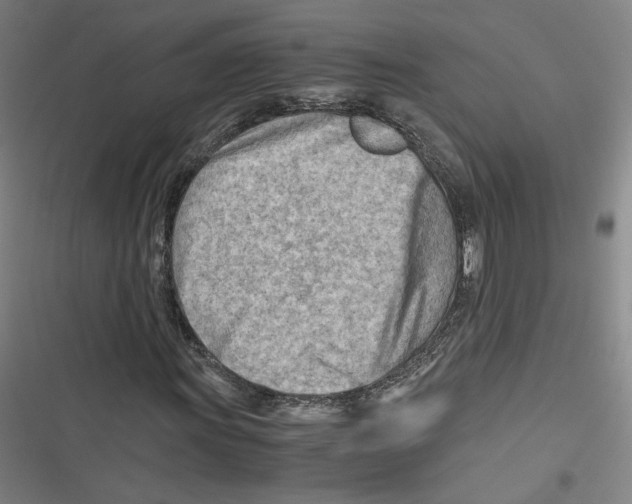 X0000116641011201001111203