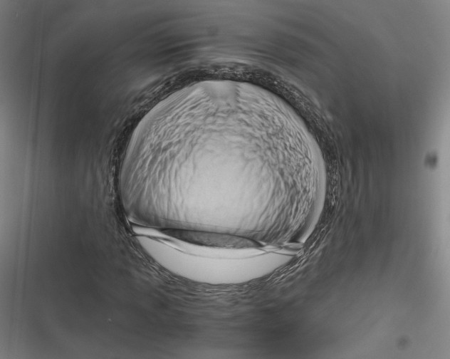 X0000116641013201001111203