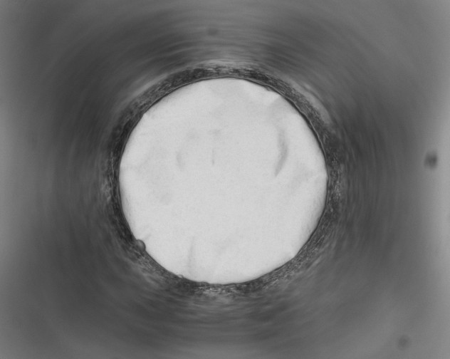 X0000116641015201001111203