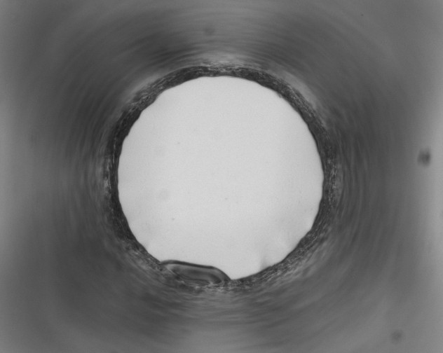 X0000116641016201001111203