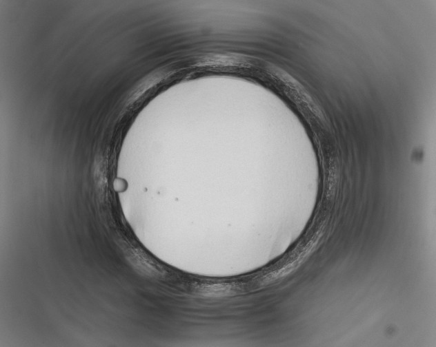 X0000116641017201001111203