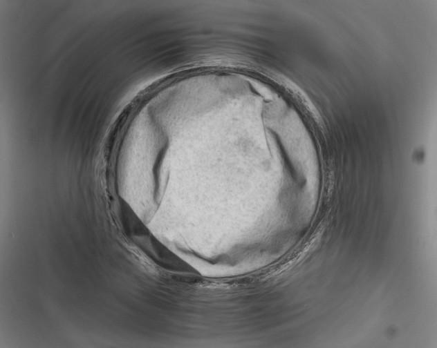 X0000116641019201001111203