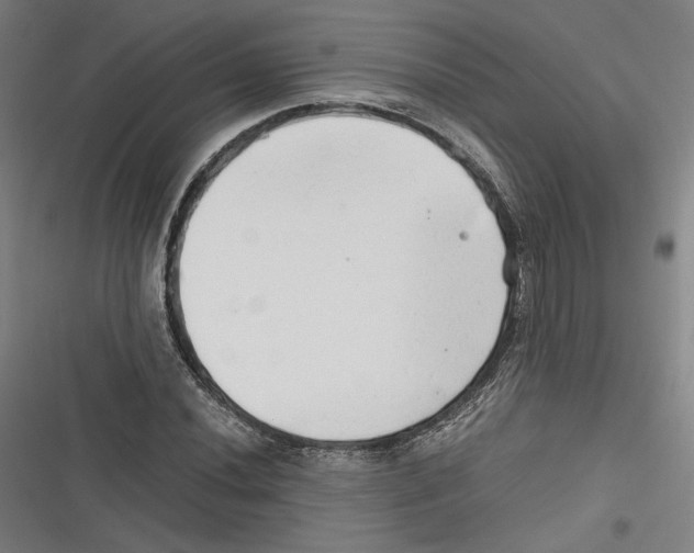 X0000116641020201001111203