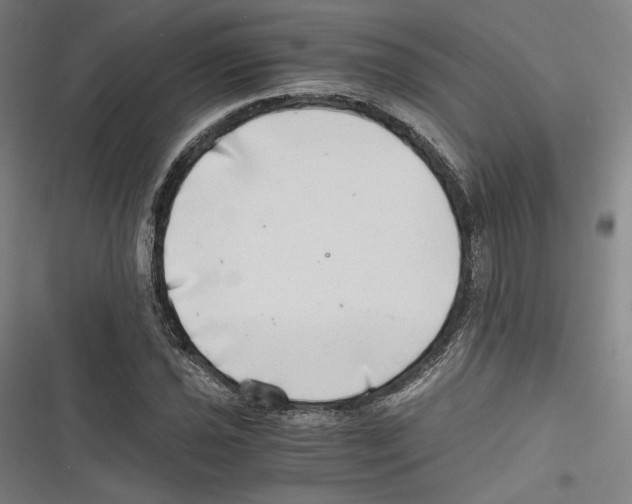 X0000116641021201001111203