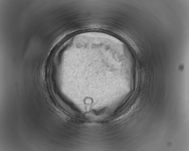 X0000116641023201001111204