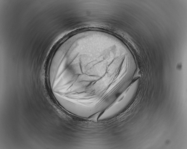 X0000116641024201001111204