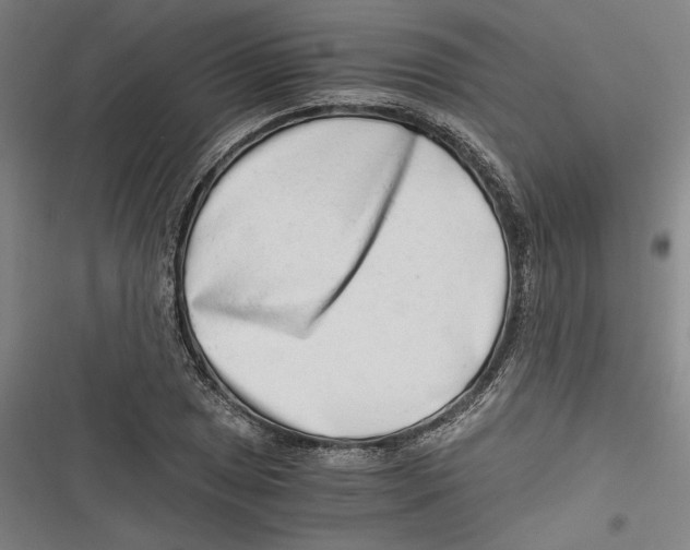 X0000116641025201001111204