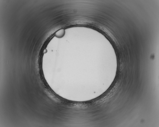 X0000116641026201001111204