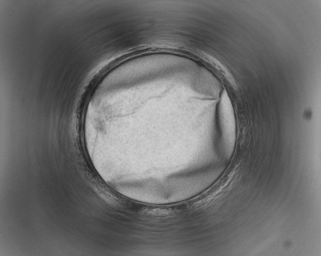 X0000116641027201001111204