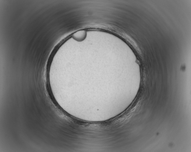 X0000116641028201001111204