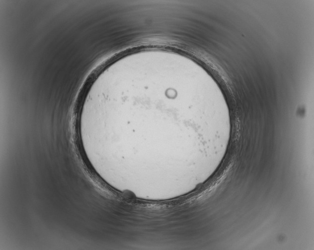 X0000116641029201001111204