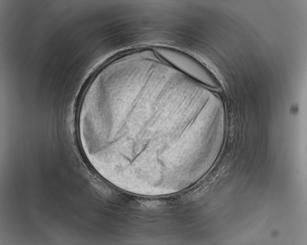 X0000116641031201001111204