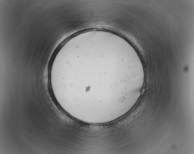 X0000116641032201001111204