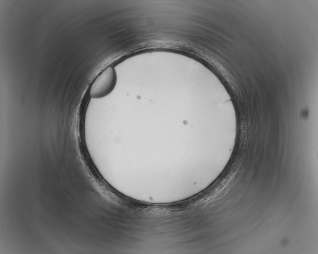 X0000116641034201001111204