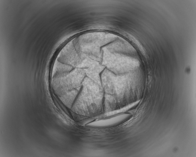 X0000116641035201001111204