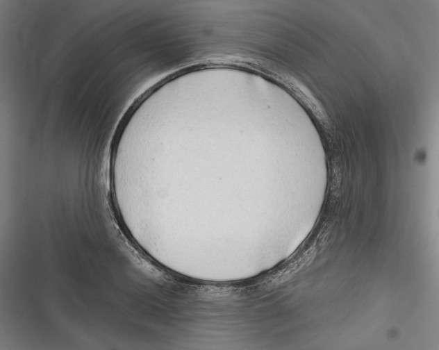 X0000116641036201001111204