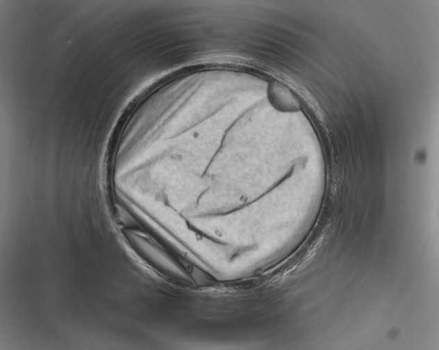 X0000116641037201001111204