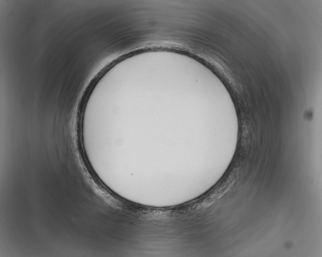 X0000116641038201001111204