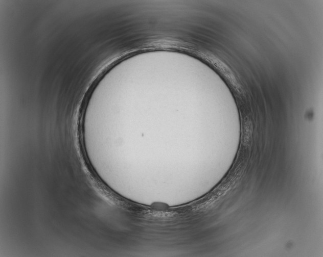 X0000116641039201001111204