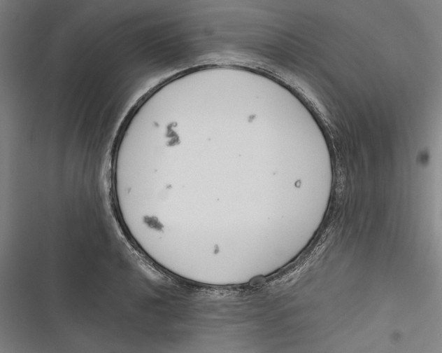 X0000116641040201001111204