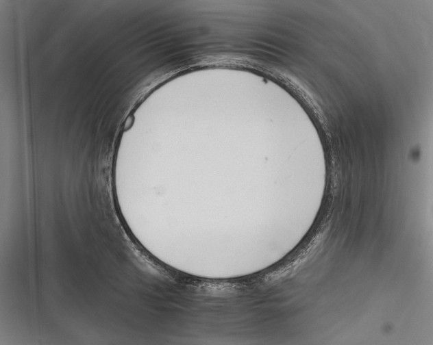 X0000116641041201001111204