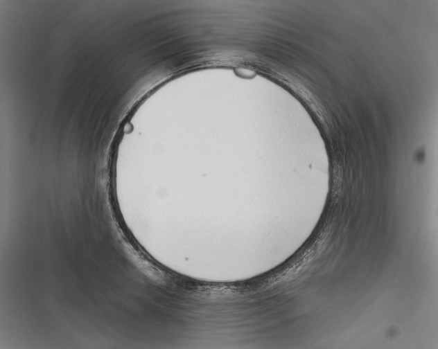 X0000116641042201001111204