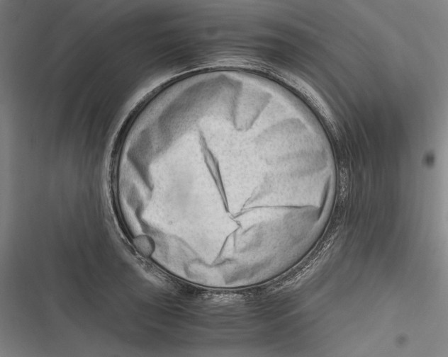 X0000116641043201001111204