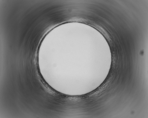 X0000116641044201001111204