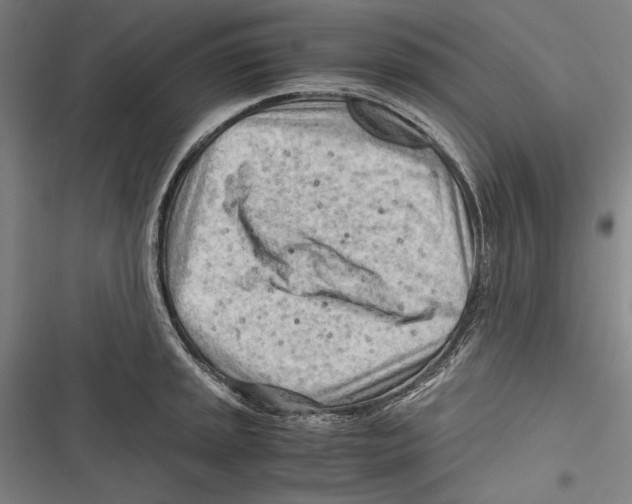 X0000116641045201001111204