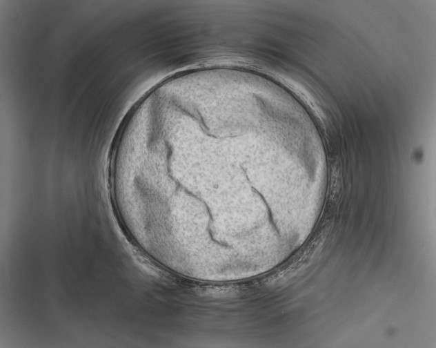 X0000116641047201001111204