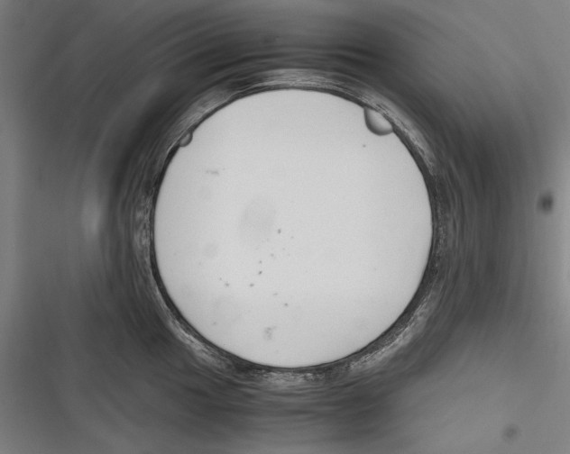 X0000116641049201001111204