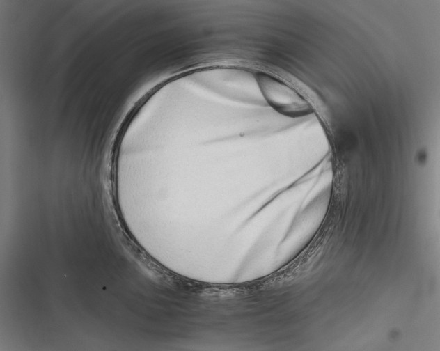 X0000116641051201001111204