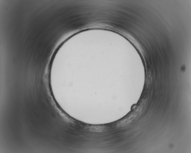 X0000116641053201001111204