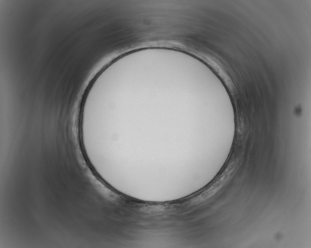 X0000116641054201001111204