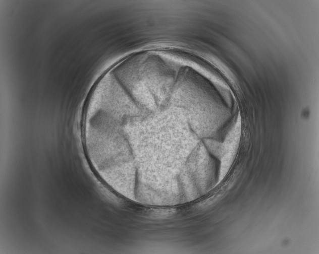 X0000116641055201001111204