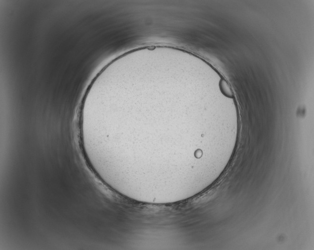 X0000116641056201001111204